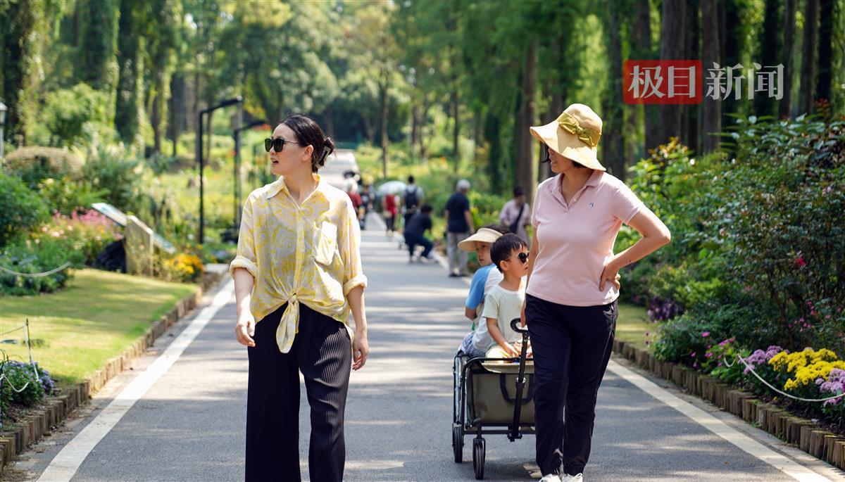 澳门银座登录和注册